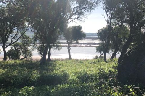 Terra a Barbate, Cadiz, Barbate - € 480.000 | Ref: vc 191 - foto 8